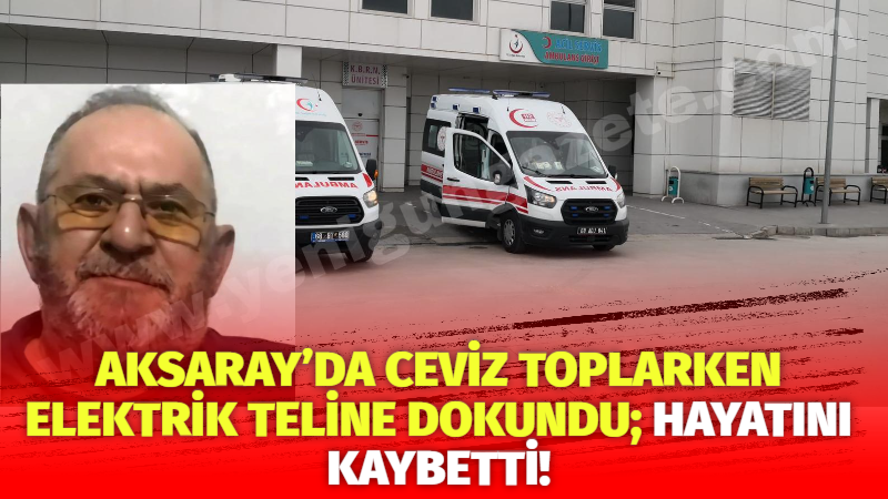 Aksaray’da ceviz toplarken elektrik teline dokundu; Hayatını kaybetti!