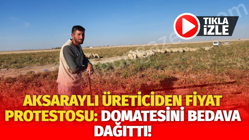 Aksaraylı üreticiden fiyat protestosu: Domatesini bedava dağıttı!