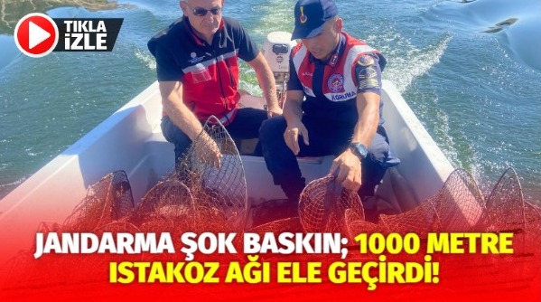 Jandarma şok baskın;1000 metre ıstakoz ağı ele geçirdi!