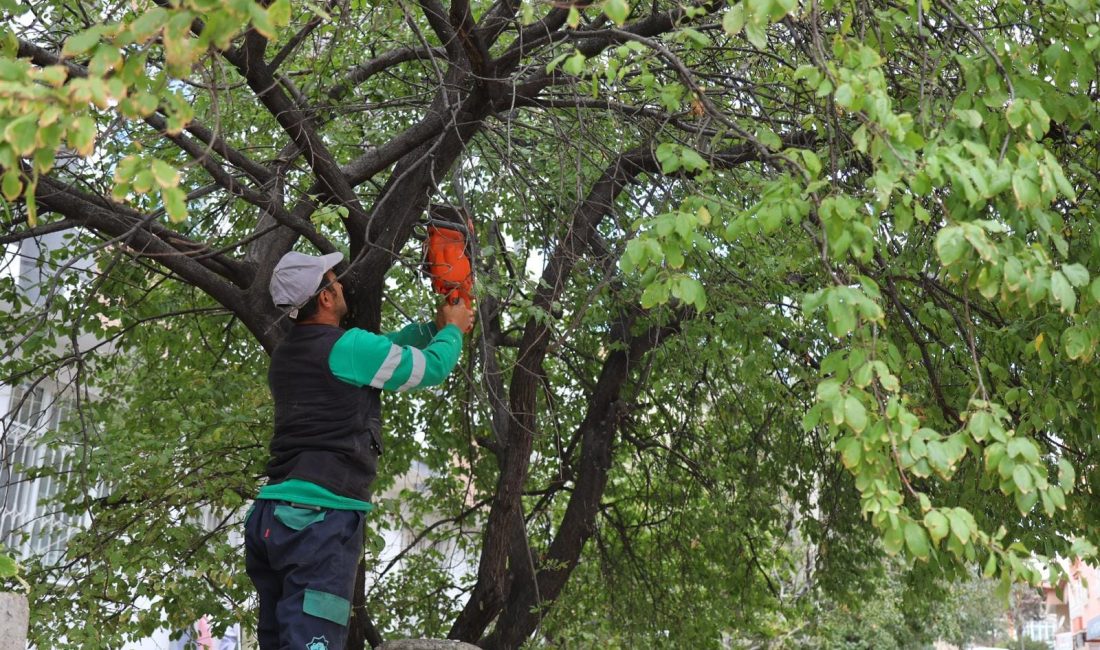 Aksaray Belediyesi, şehir içindeki