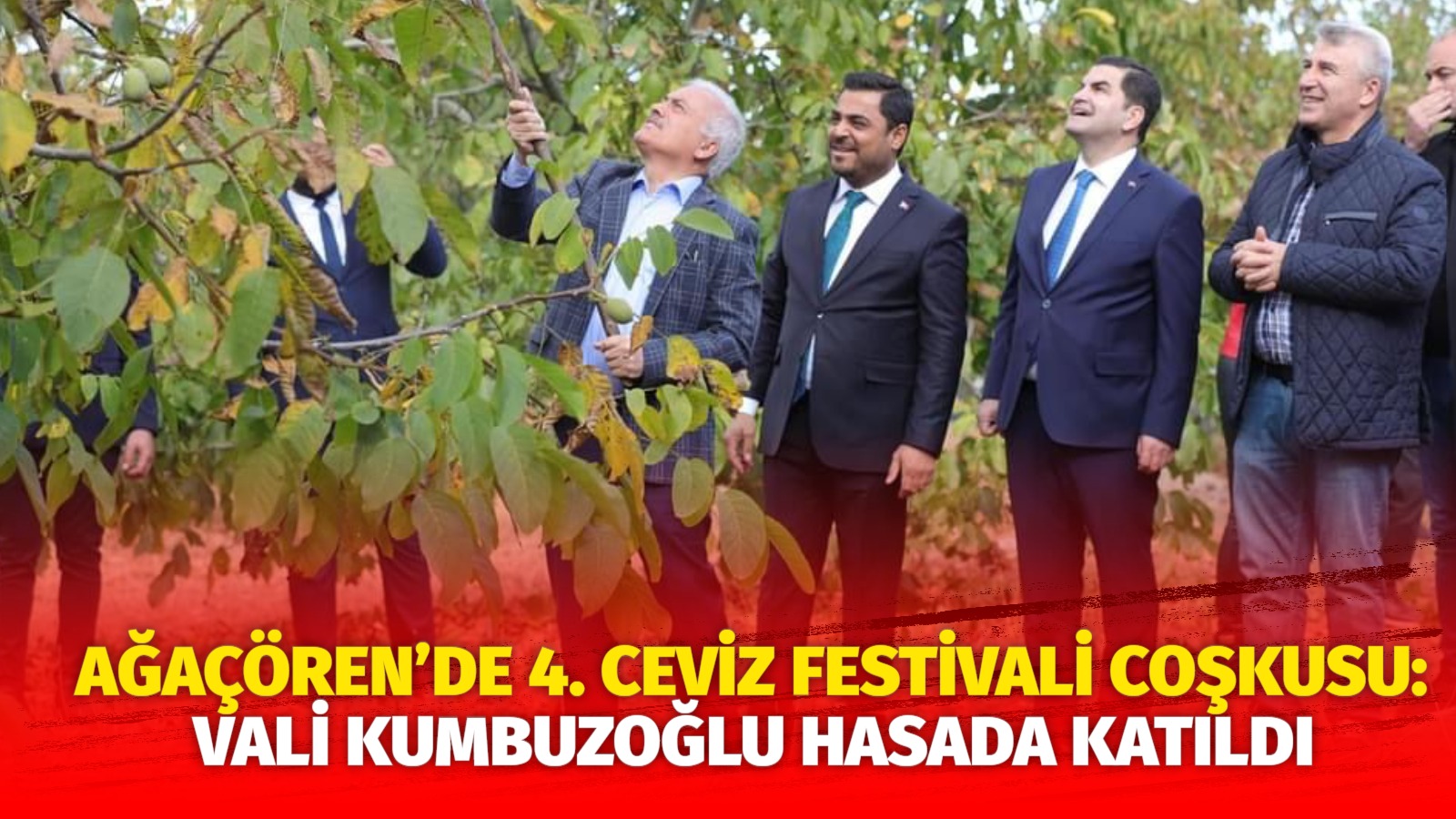 Ağaçören’de 4. Ceviz Festivali coşkusu: Vali Kumbuzoğlu hasada katıldı