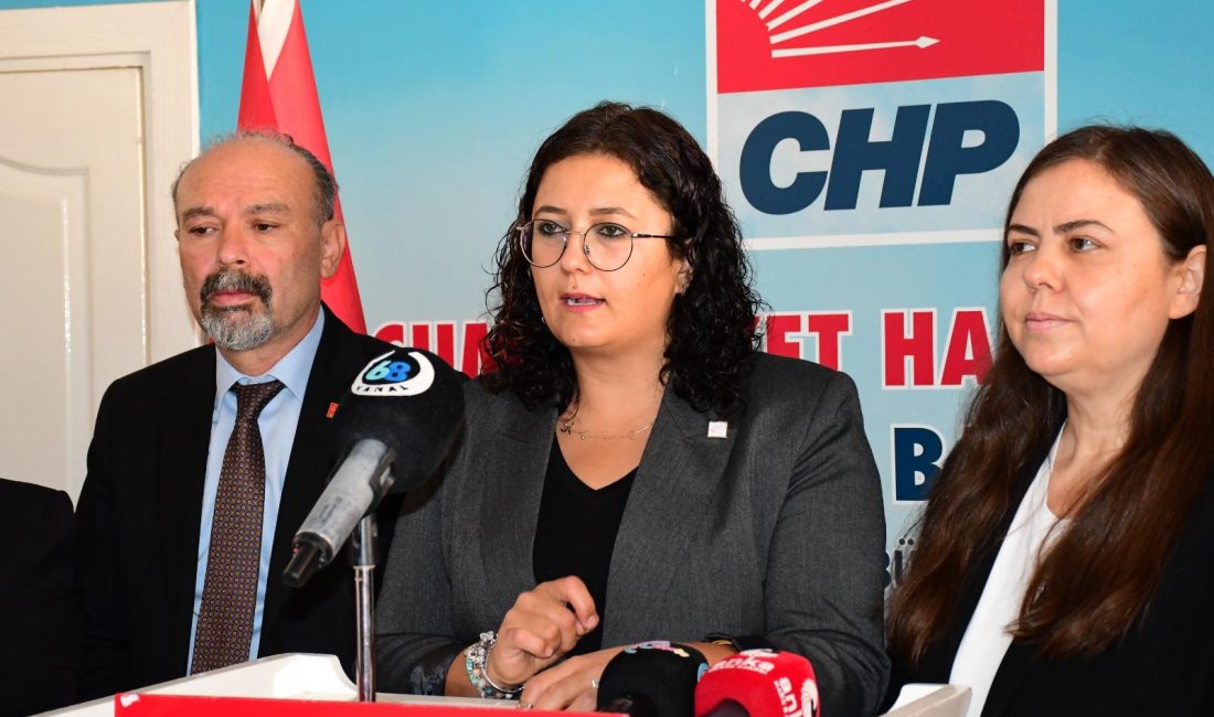 CHP Aksaray Kadın Kolları