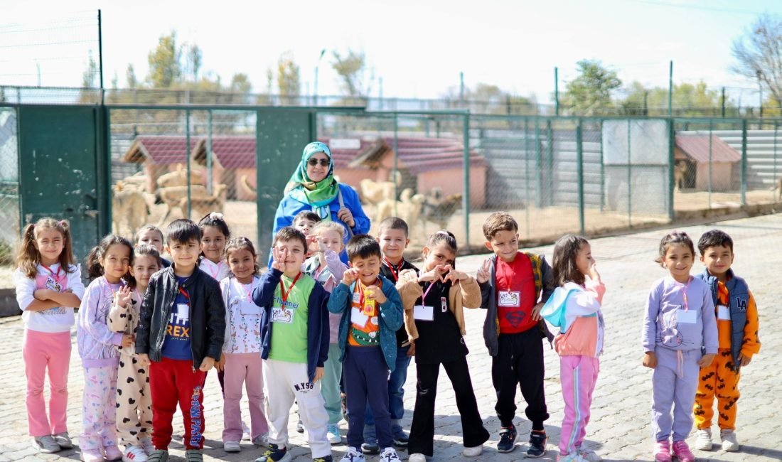 Aksaray Belediyesi Sokak Hayvanları