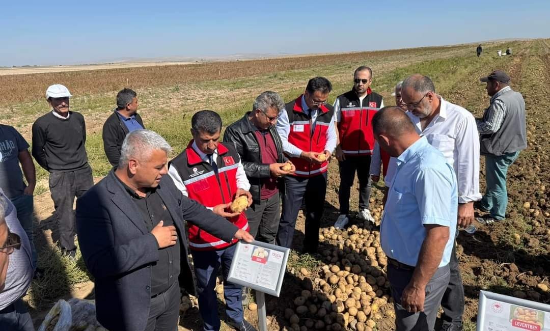 Aksaray merkeze bağlı Babakonağı