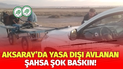Aksaray Doğa Koruma ve Milli Parklar Şube Müdürlüğü tarafından şehir