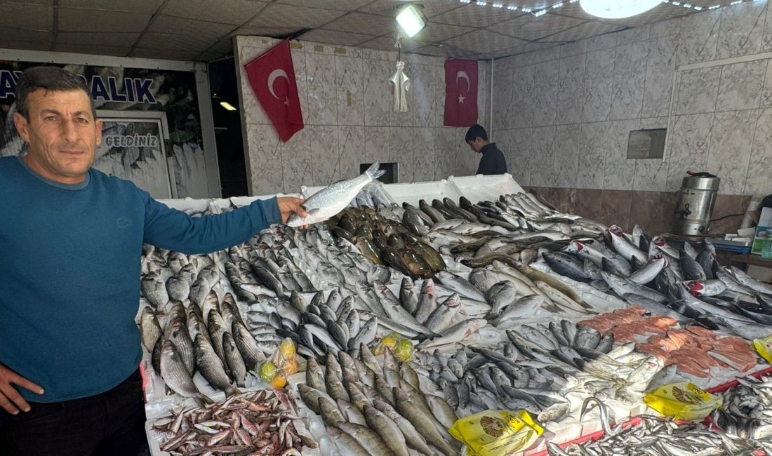 Aksaray’daki balık pazarında, Karadeniz’den