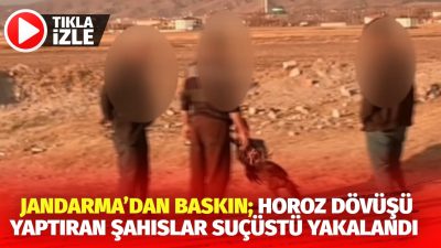 Aksaray’da horoz dövüşü yaptırmak suretiyle kumar oynatan şahıslara Jandarma’dan baskın.