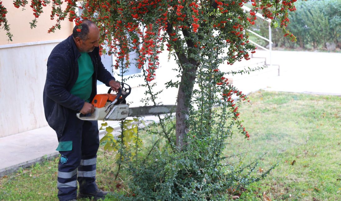 Aksaray Belediyesi, şehir genelinde