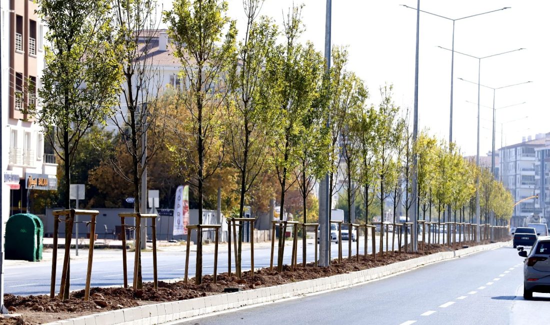 Aksaray Belediyesi’nin şehir içerisinde