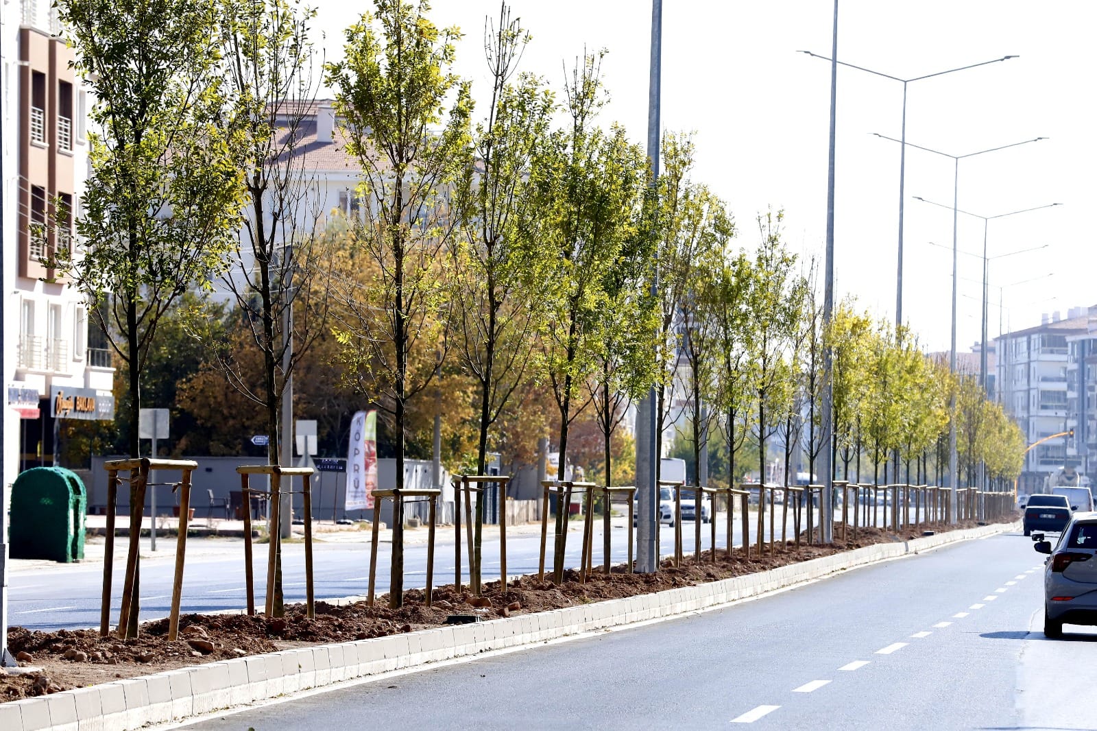 Aksaray’da yollar ağaçlandırılıyor