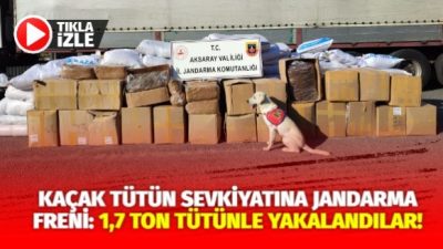 Aksaray İl Jandarma Komutanlığı, Taşpınar Beldesi’nde gerçekleştirdiği denetimde piyasa değeri
