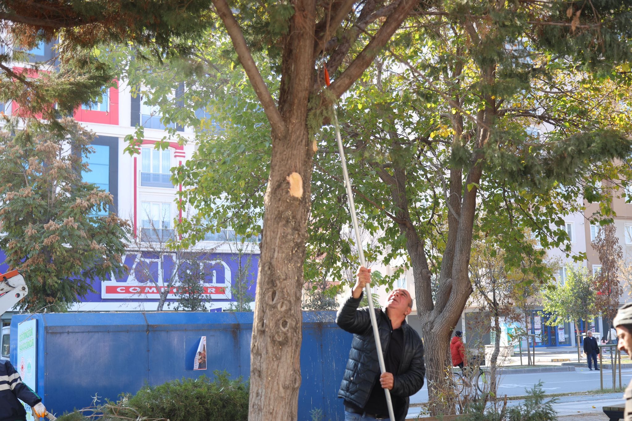 Aksaray Belediyesi, parklarda yeşil devrimi başlatıyor!