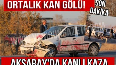 Aksaray-Konya yolunda, Yenikent kavşağında otomobilin koyun sürüsüne çarpması sonucu 10