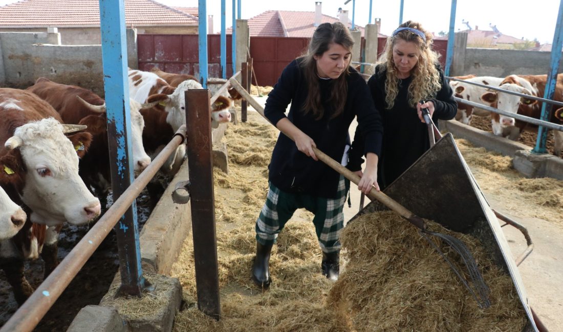 Biri kağıt fabrikası diğeri