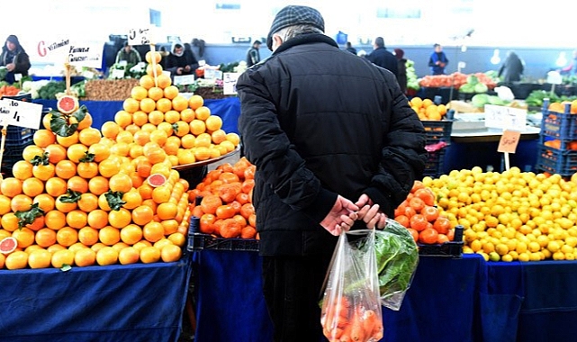 OECD tarafından yapılan araştırmalar