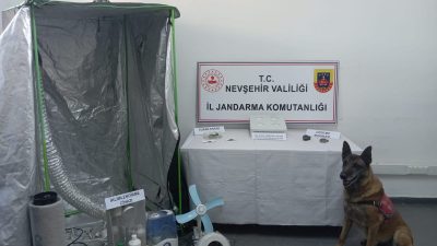 Nevşehir’de jandarma ekiplerinin düzenlediği uyuşturucu operasyonunda 7 şüpheli gözaltına alındı.