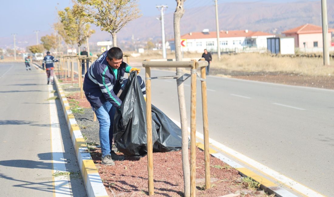 Aksaray Belediyesi, şehir genelindeki