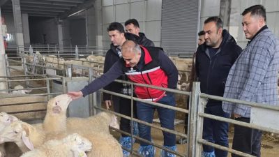 Osman Derin’in Modern süt koyunculuğu tesisi bölgeye örnek oluyor