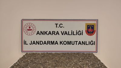 Ankara'nın Etimesgut ilçesinde tarihi eser kaçakçılığı yaptığı öne sürülen 2