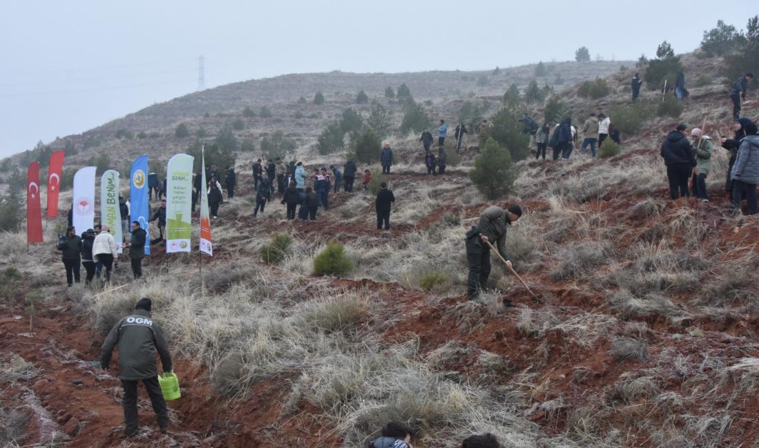 Aksaray İl Milli Eğitim