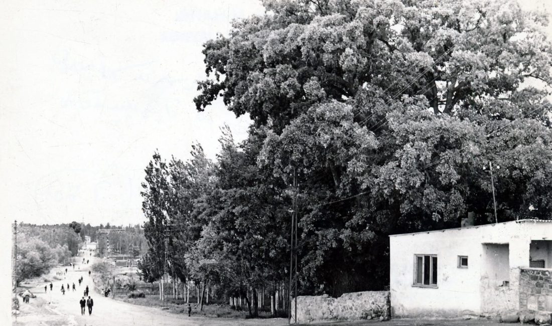 Aksaray Belediyesi, şehrin tarihine