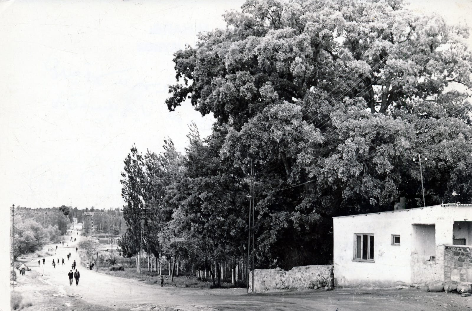 Aksaray Belediyesi’nden nostaljik fotoğraf paylaşımı