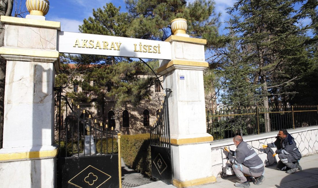 Aksaray Belediyesi, şehir estetiğine