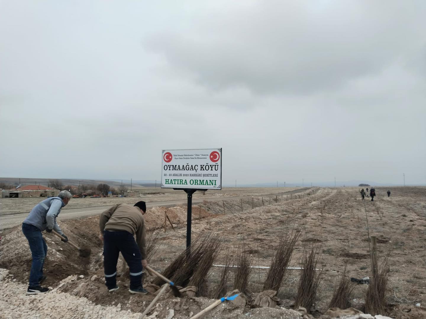 Oymaağaç’ta geleceğe nefes etkinliği: 3000 fidan toprakla buluşturuldu