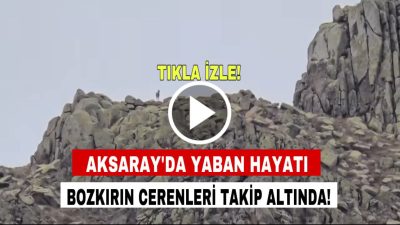 Aksaray Doğa Koruma ve Milli Parklar İl Şube Müdürlüğü, Ekecik