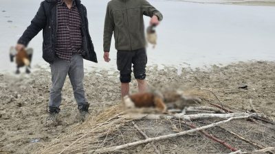 Aksaray Doğa Koruma ve Milli Parklar Müdürlüğü, Tuz Gölü Özel