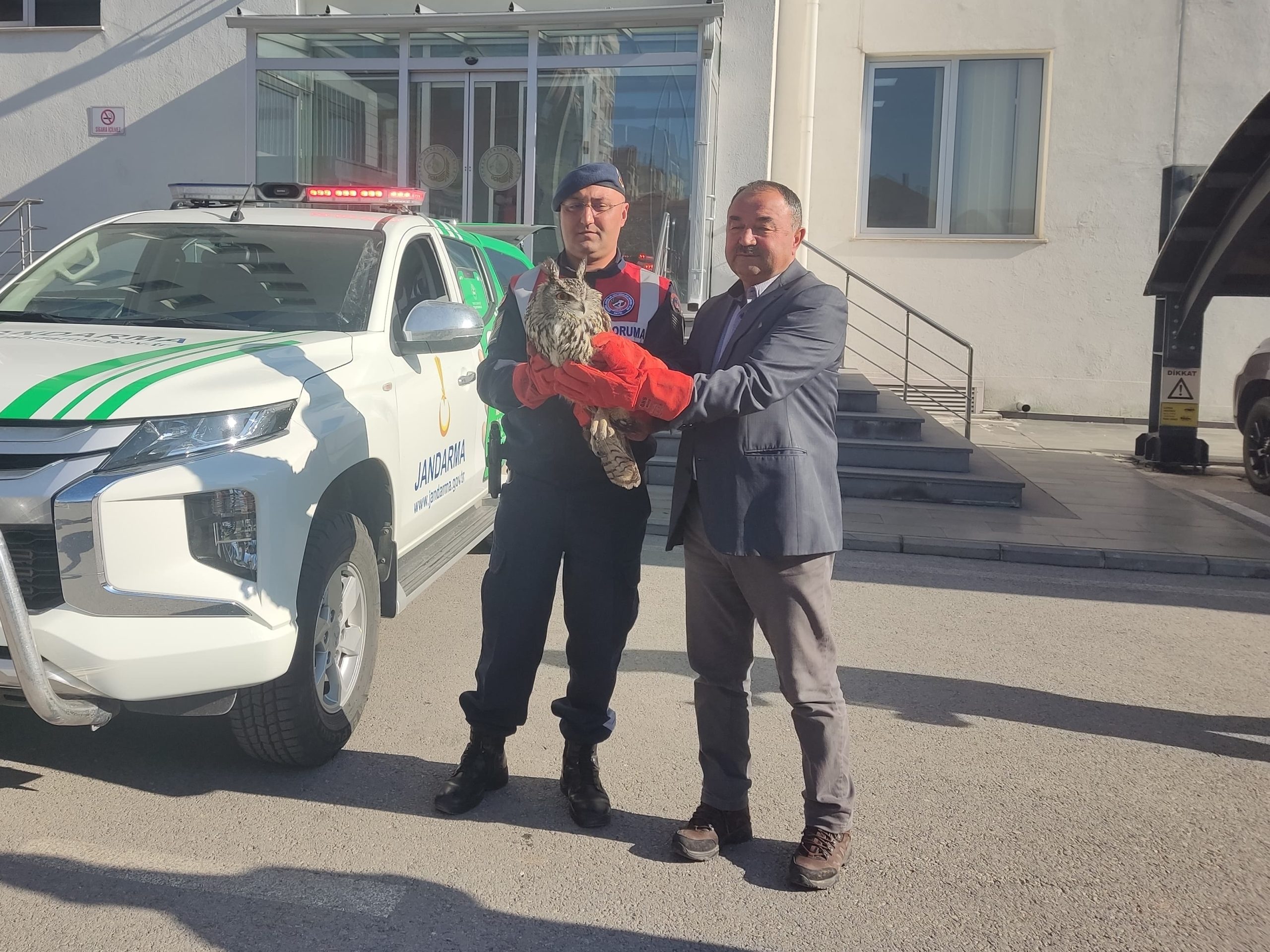 Kayseri'nin Bünyan ilçesinde jandarma ekiplerinin bulduğu yaralı puhu tedavi altına