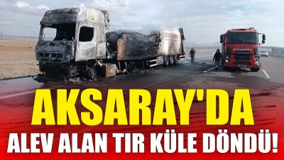 Ankara-Niğde otoyolunda seyir halinde olan mandalina yüklü bir tır, aniden