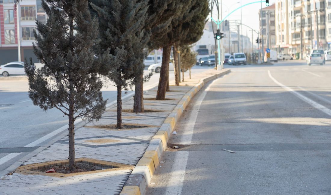 Aksaray Belediyesi, Acem Caddesi’nde