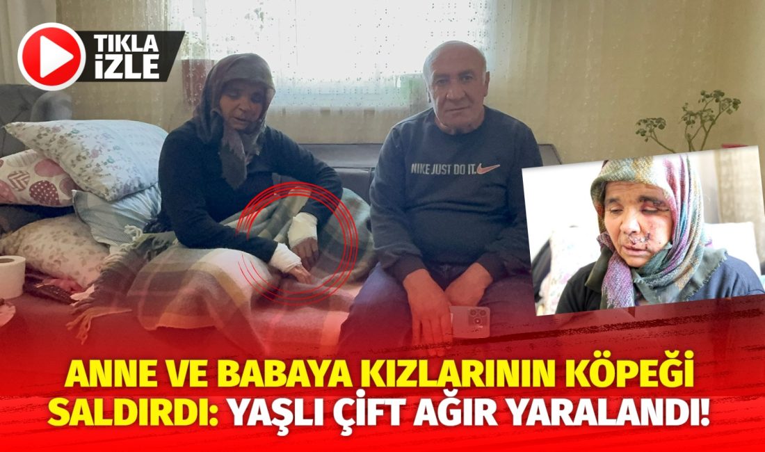 Aksaray’da kızlarının evine yemek