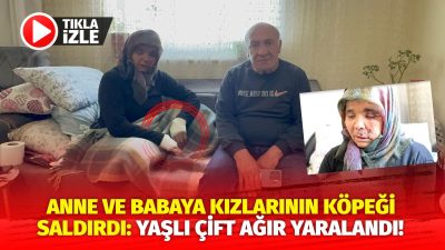 Aksaray’da kızlarının evine yemek davetine giden karı kocaya köpek saldırdı.