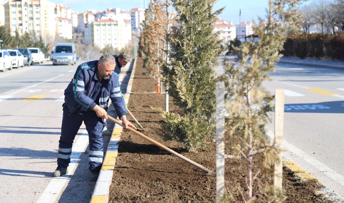 Aksaray Belediyesi, şehri daha