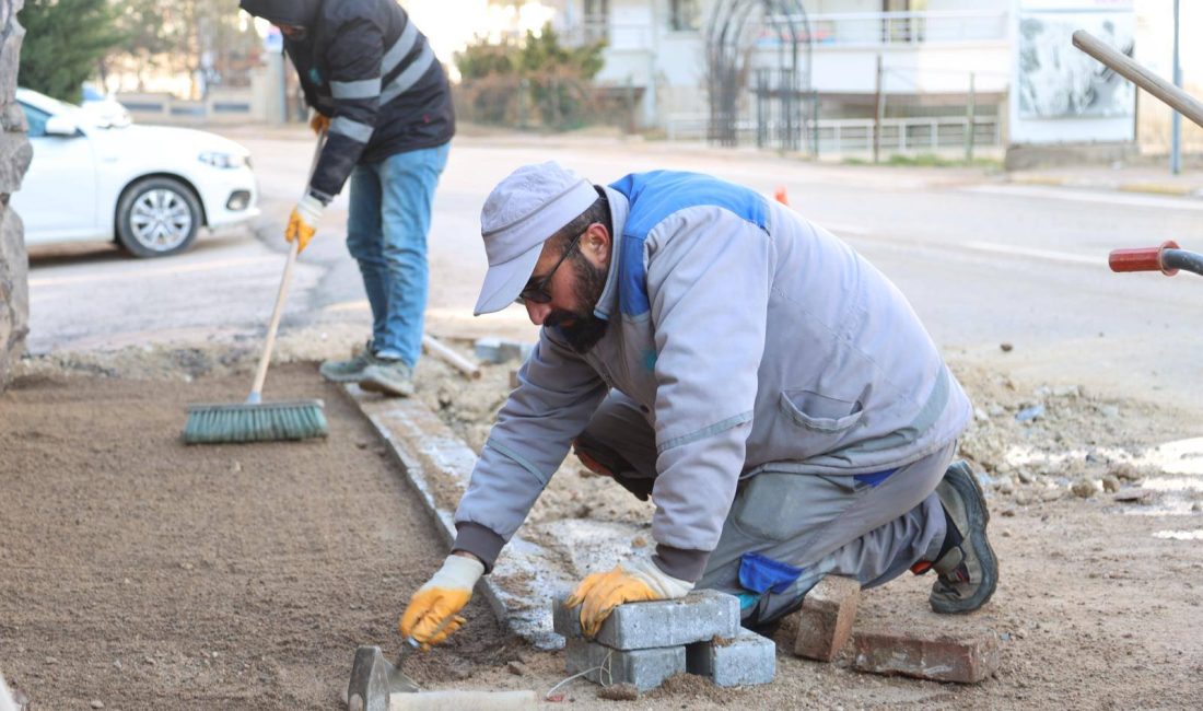 Aksaray Belediyesi, kentin estetik