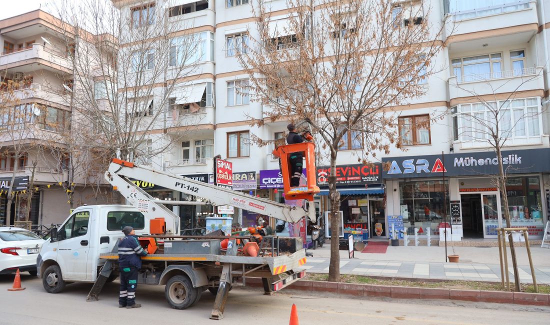 Aksaray Belediyesi, Atatürk Bulvarı'ndaki