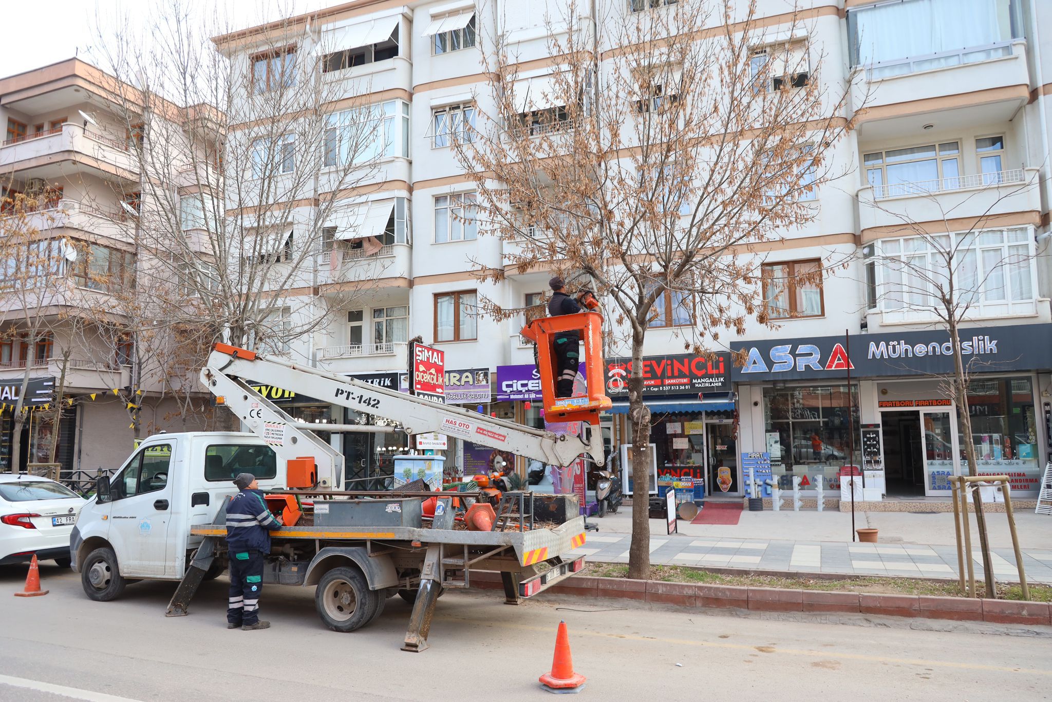 Aksaray Belediyesi’nden şehir estetiği çalışmaları; Farklı noktalarda ağaçlar budandı