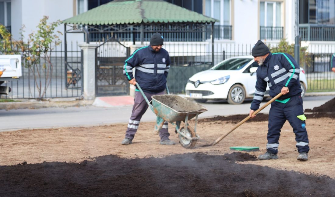 Aksaray Belediyesi, şehir genelindeki