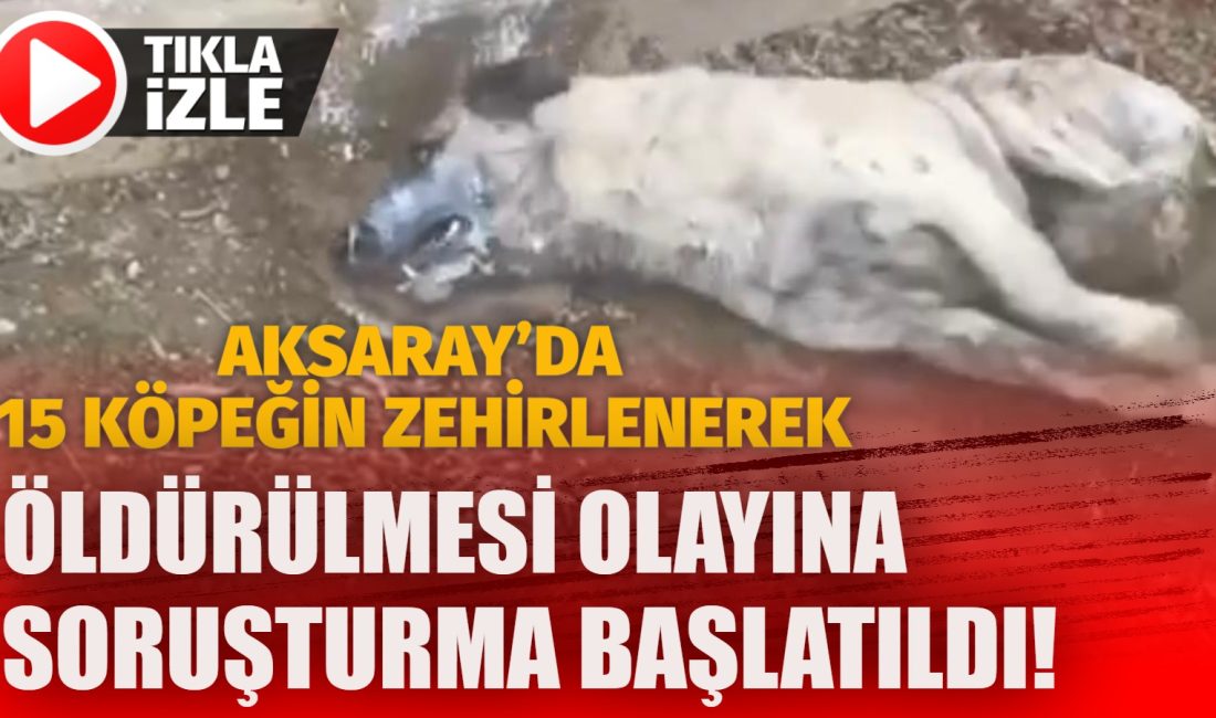 Aksaray’ın Gülağaç ilçesine bağlı