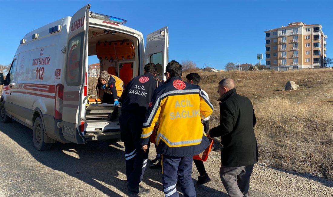 Ankara'nın Haymana ilçesinde sahipsiz