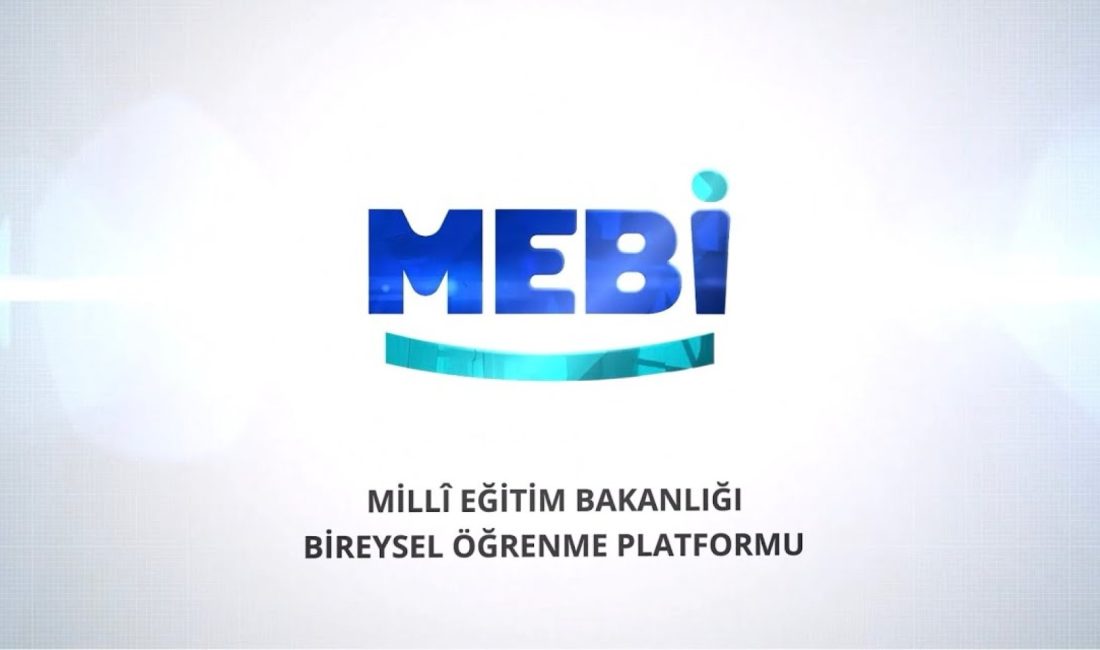 Millî Eğitim Bakanlığı, lise