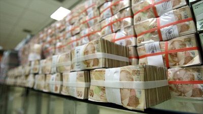 Hazine'nin 2024 yılı vergi dışı normal gelirleri, 54 milyar 225
