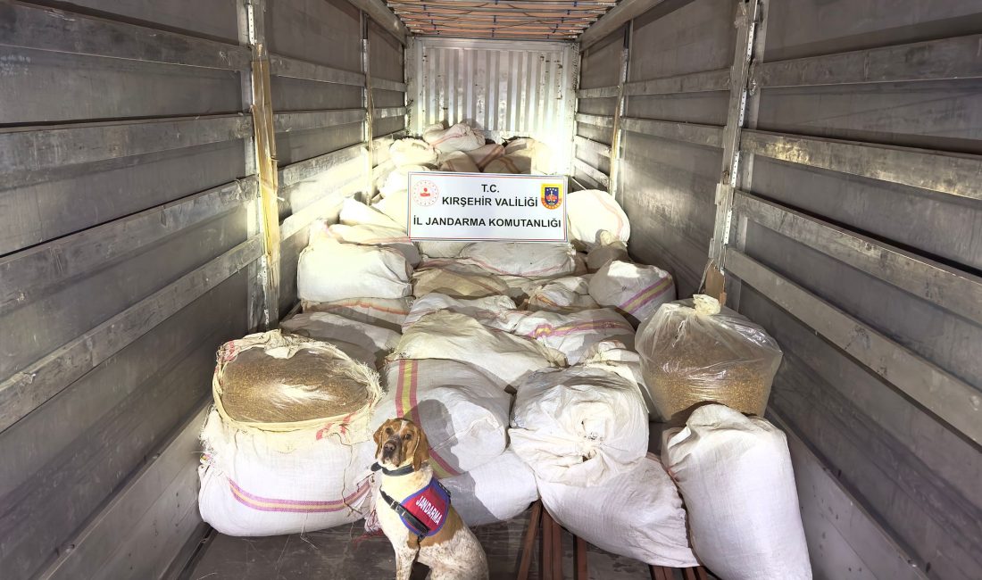 Kırşehir'de dorsesinde 3 ton 35 kilogram kıyılmış tütün ele geçirilen