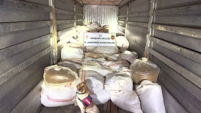 Kırşehir'de dorsesinde 3 ton 35 kilogram kıyılmış tütün ele geçirilen