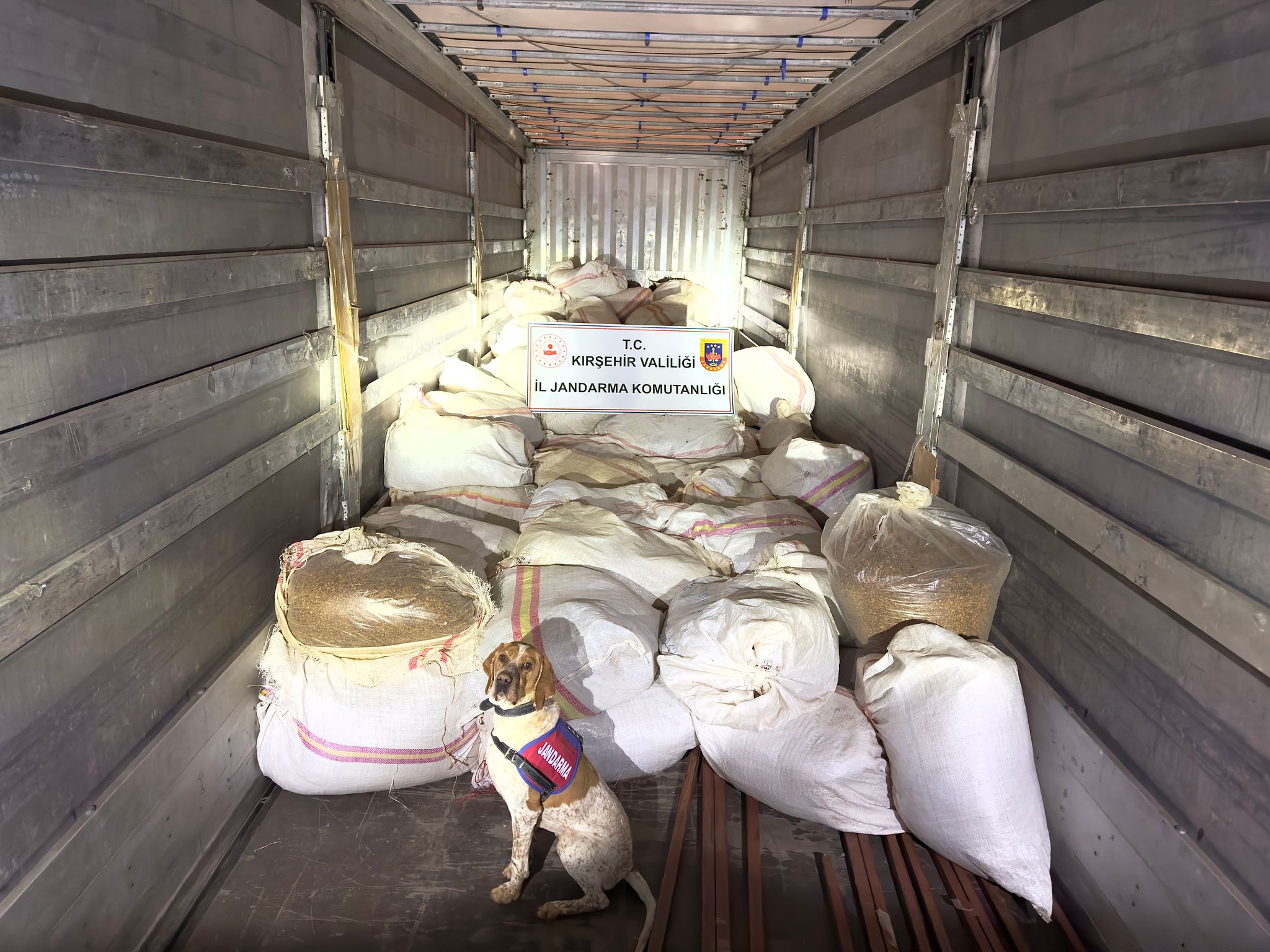 Kırşehir'de dorsesinde 3 ton 35 kilogram kıyılmış tütün ele geçirilen