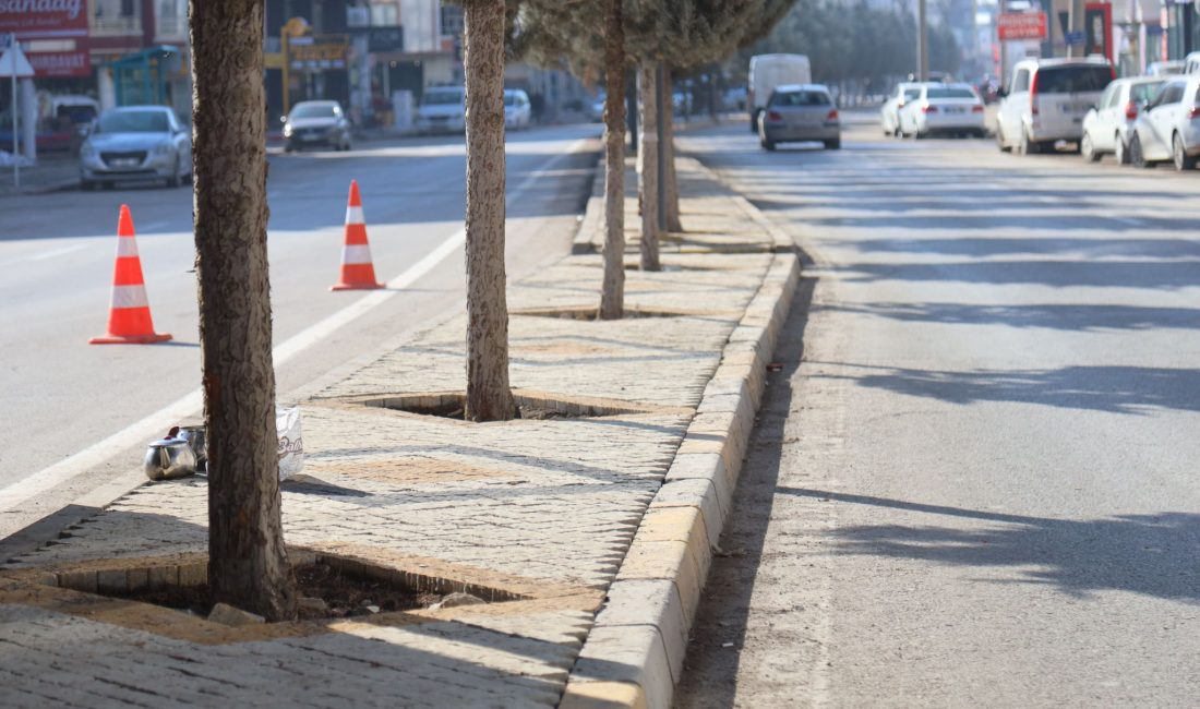 Aksaray Belediyesi, şehrin çehresini