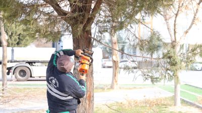 Aksaray Belediyesi, şehirdeki yeşil alanların daha sağlıklı bir şekilde gelişmesi