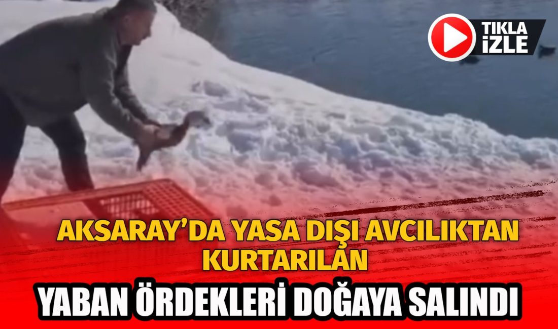 Aksaray Doğa Koruma ve Milli Parklar İl Şube Müdürlüğü (DKMP)